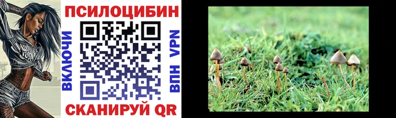 купить наркоту Чишмы Псилоцибиновые грибы Cubensis